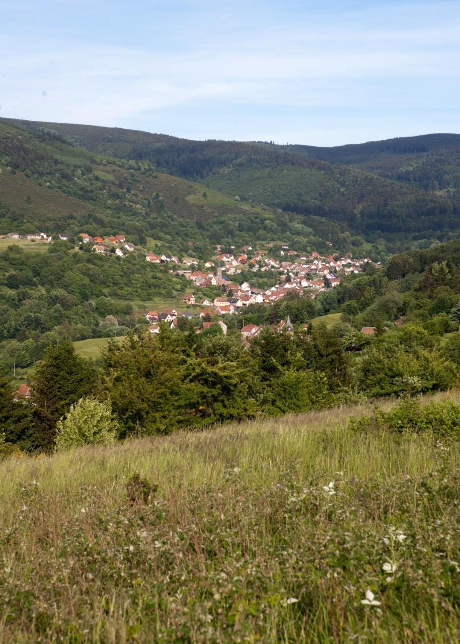 Hotel Restaurant Auberge Metzger Natzwiller Esterno foto